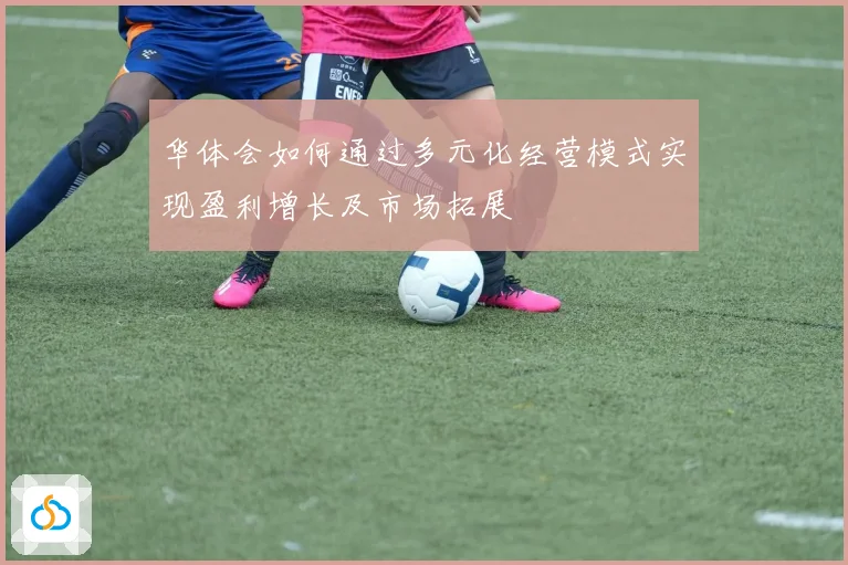 华体会如何通过多元化经营模式实现盈利增长及市场拓展