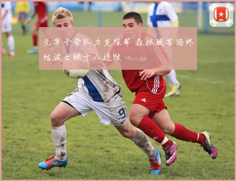 无华子带队力克绿军 森林狼客场终结波士顿十八连败